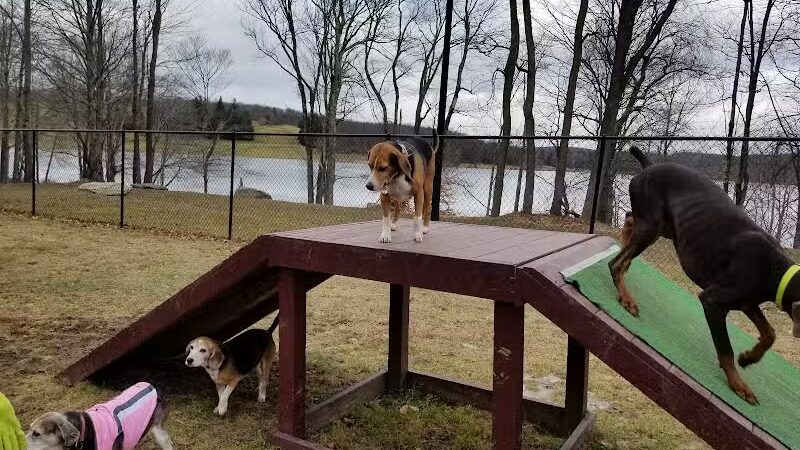 Morningside Dog park - Loch Sheldrake, NY