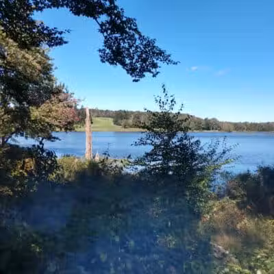 Morningside Dog park - Loch Sheldrake, NY