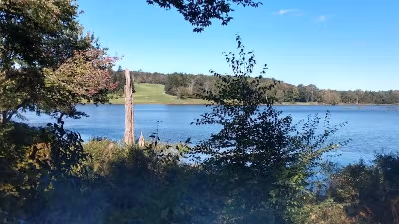 Morningside Dog park - Loch Sheldrake, NY
