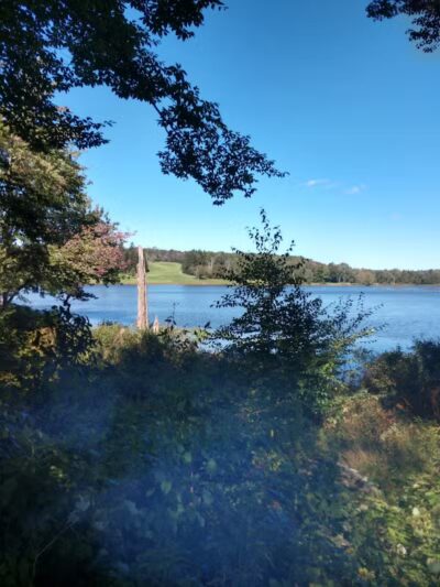 Morningside Dog park - Loch Sheldrake, NY