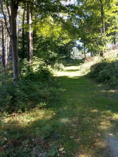 Morningside Dog park - Loch Sheldrake, NY