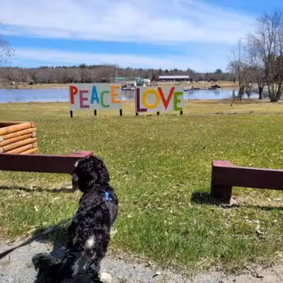 Morningside Dog park - Loch Sheldrake, NY