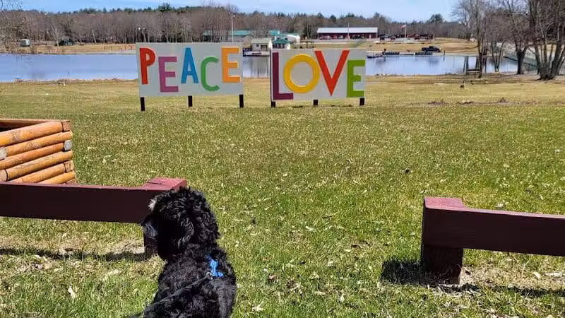 Morningside Dog park - Loch Sheldrake, NY
