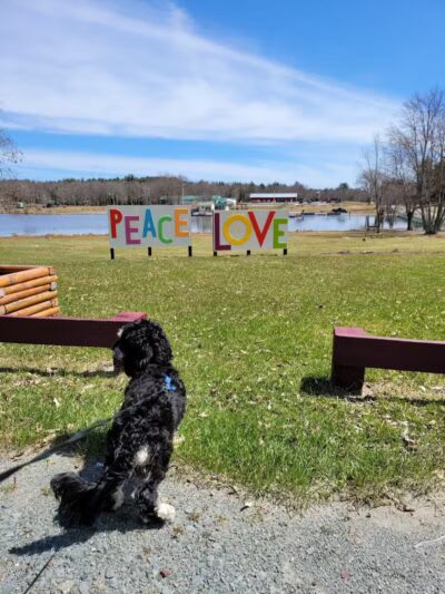 Morningside Dog park - Loch Sheldrake, NY
