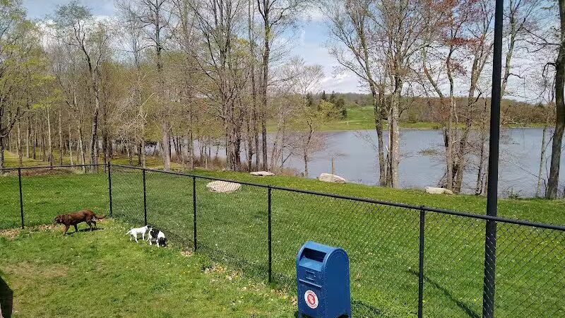 Morningside Dog park - Loch Sheldrake, NY