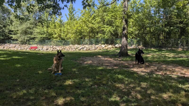 Locust Dog Park - Locust, NC