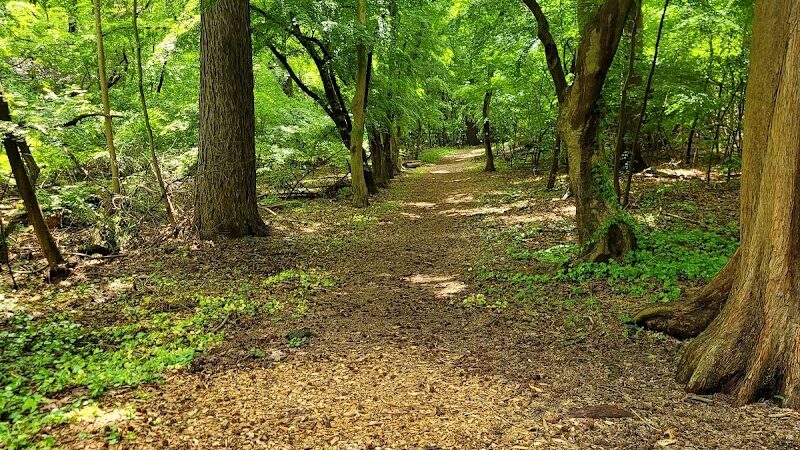 Bailey Arboretum County Park - Locust Valley, NY
