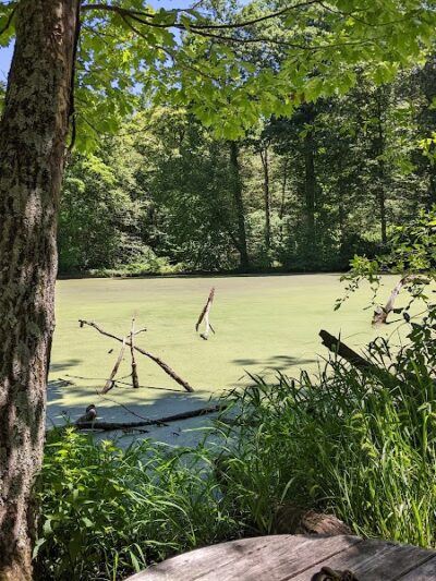 Bailey Arboretum County Park - Locust Valley, NY