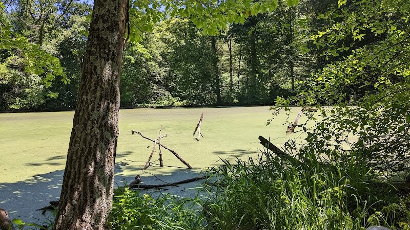 Bailey Arboretum County Park - Locust Valley, NY