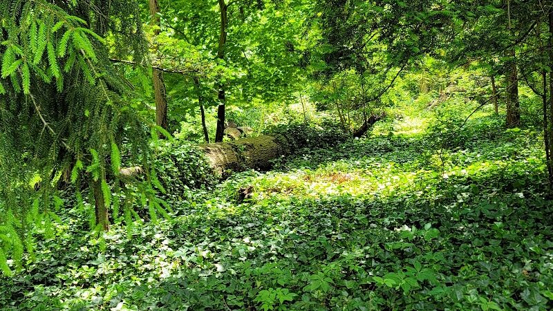 Bailey Arboretum County Park - Locust Valley, NY