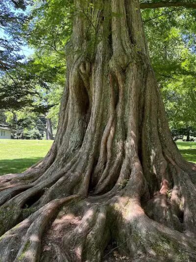 Bailey Arboretum County Park - Locust Valley, NY