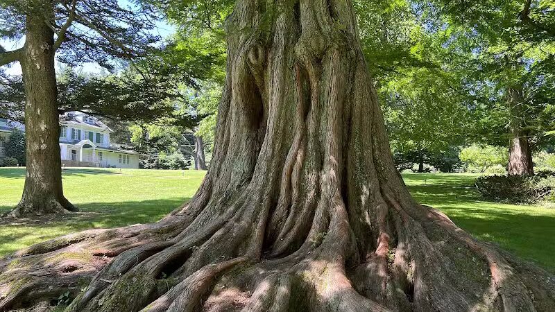 Bailey Arboretum County Park - Locust Valley, NY