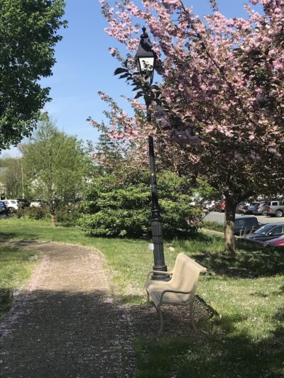 Thomas Park - Locust Valley, NY