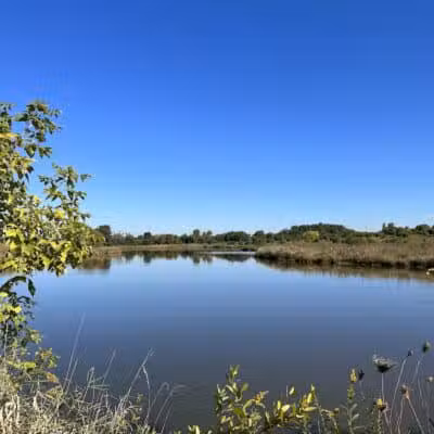 East Branch Off-leash Dog Park - Lombard, IL