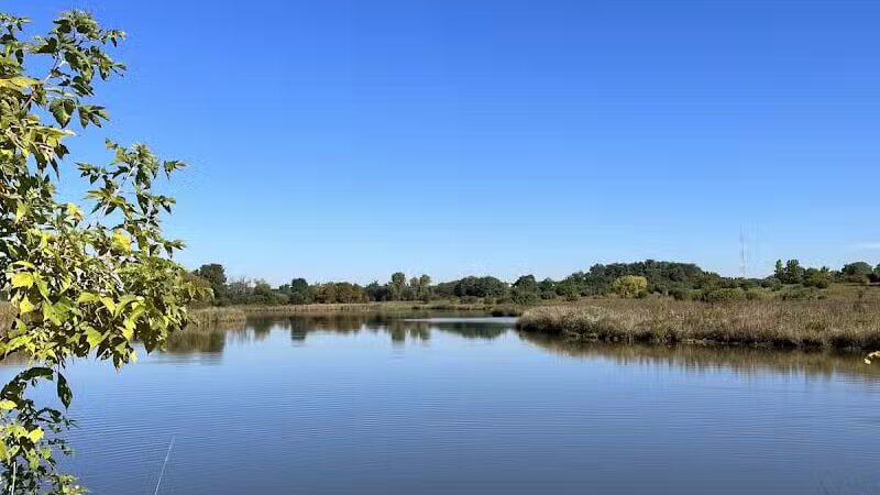 East Branch Off-leash Dog Park - Lombard, IL