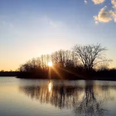 East Branch Off-leash Dog Park - Lombard, IL
