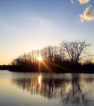 East Branch Off-leash Dog Park - Lombard, IL