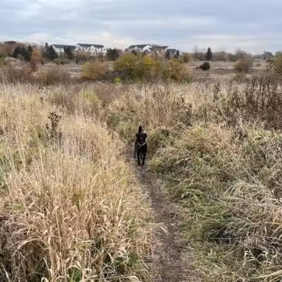 East Branch Off-leash Dog Park - Lombard, IL