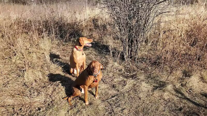 East Branch Off-leash Dog Park - Lombard, IL