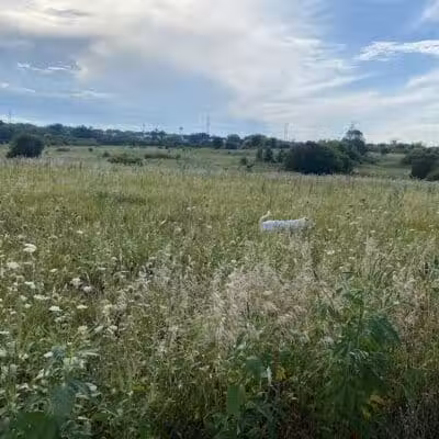 East Branch Off-leash Dog Park - Lombard, IL