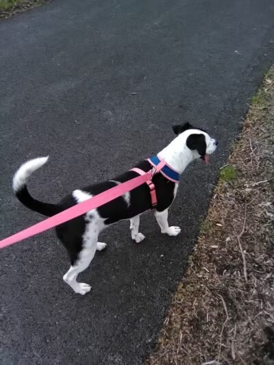 Dixie Street Park - London, KY