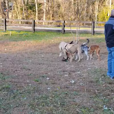Dixie Street Park - London, KY