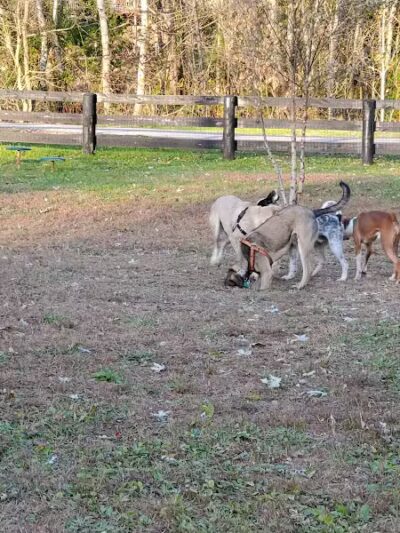 Dixie Street Park - London, KY
