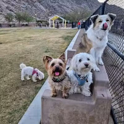 Lone Mountain Equestrian Trail Parking - Lone Mountain, NV