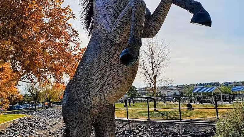 Lone Mountain Equestrian Trail Parking - Lone Mountain, NV