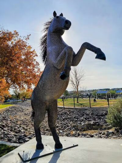 Lone Mountain Equestrian Trail Parking - Lone Mountain, NV