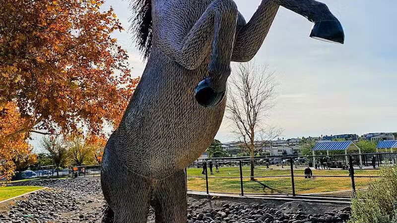 Lone Mountain Equestrian Trail Parking - Lone Mountain, NV