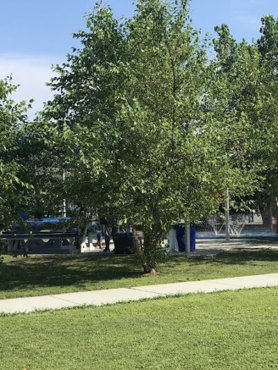 Clark Street Playground - Long Beach, NY