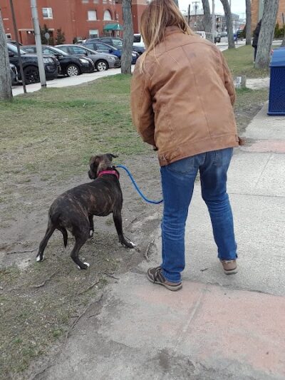 Kennedy Plaza - Long Beach, NY