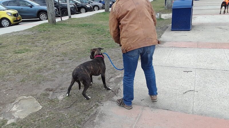 Kennedy Plaza - Long Beach, NY