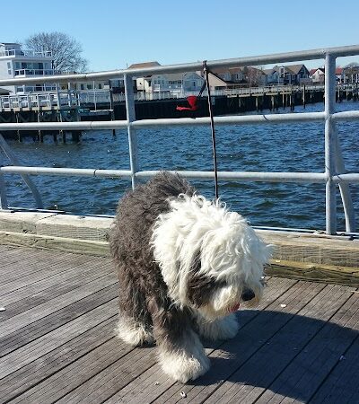 Long Beach Recreation Center - Long Beach, NY