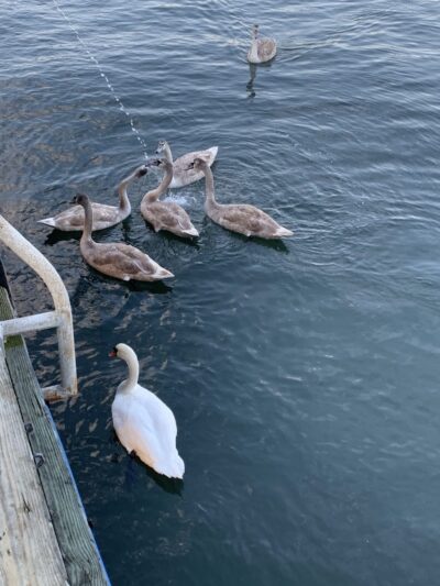 Long Beach Recreation Center - Long Beach, NY