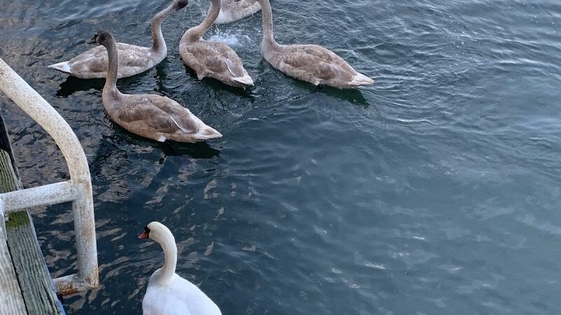 Long Beach Recreation Center - Long Beach, NY