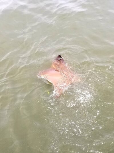 Long Beach Recreation Center - Long Beach, NY