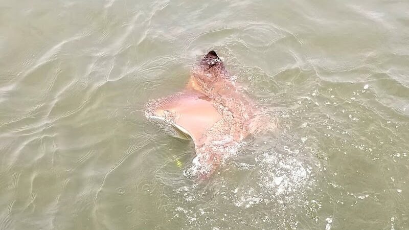 Long Beach Recreation Center - Long Beach, NY