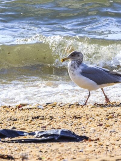 Ocean Beach Park - Long Beach, NY