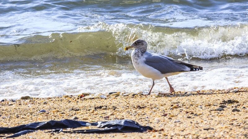 Ocean Beach Park - Long Beach, NY