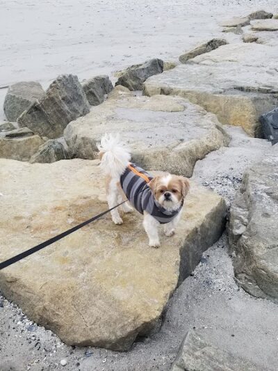 Pacific Playground - Long Beach, NY