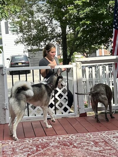 Posh Pets Rescue - Long Beach, NY