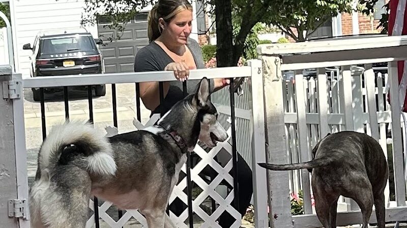 Posh Pets Rescue - Long Beach, NY