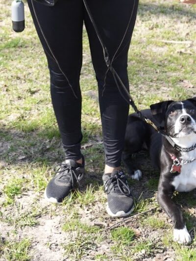 SOS K9 Training - Long Beach, NY