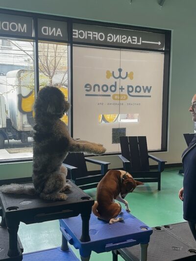 Wag & Bone - Long Island City, NY