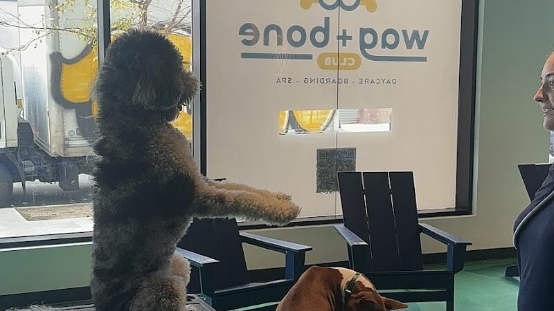 Wag & Bone - Long Island City, NY