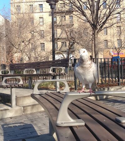 Murray Playground - Long Island City, NY