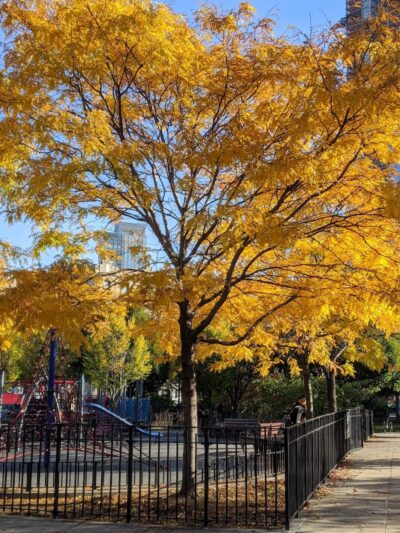 Murray Playground - Long Island City, NY