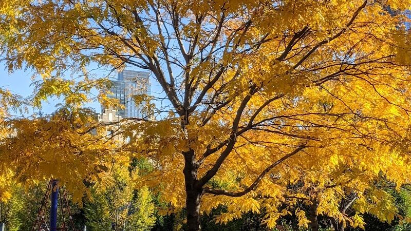 Murray Playground - Long Island City, NY